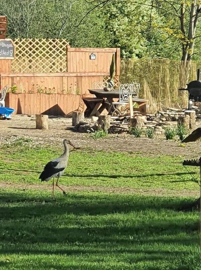 B&B Rando&Kärdi juures OÜ Luganuse Bagian luar foto