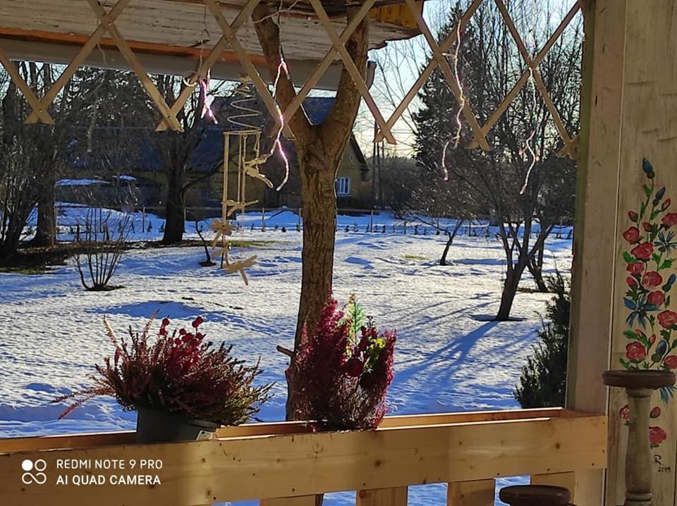 B&B Rando&Kärdi juures OÜ Luganuse Bagian luar foto