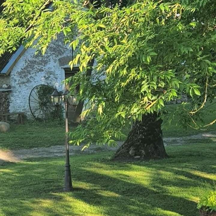 B&B Rando&Kärdi juures OÜ Luganuse Bagian luar foto