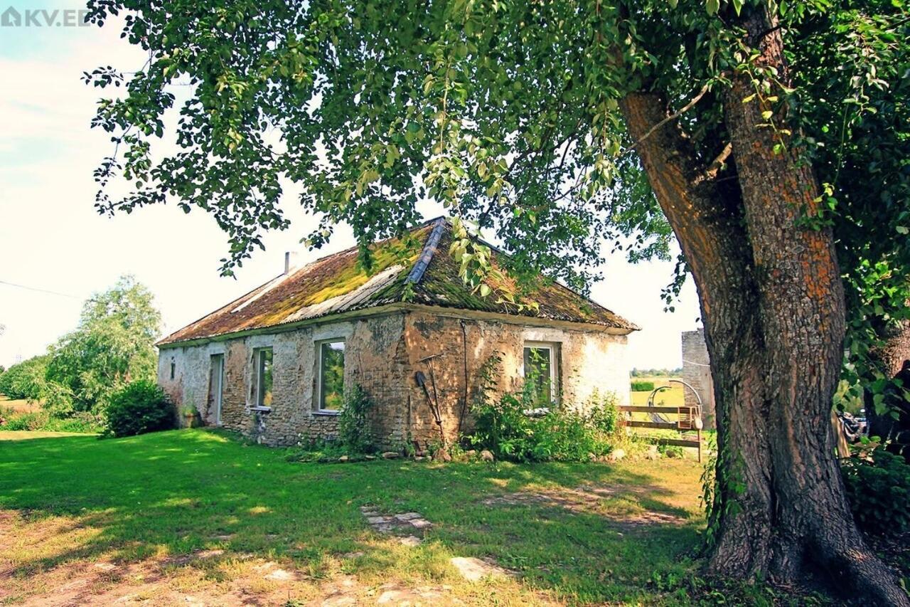B&B Rando&Kärdi juures OÜ Luganuse Bagian luar foto